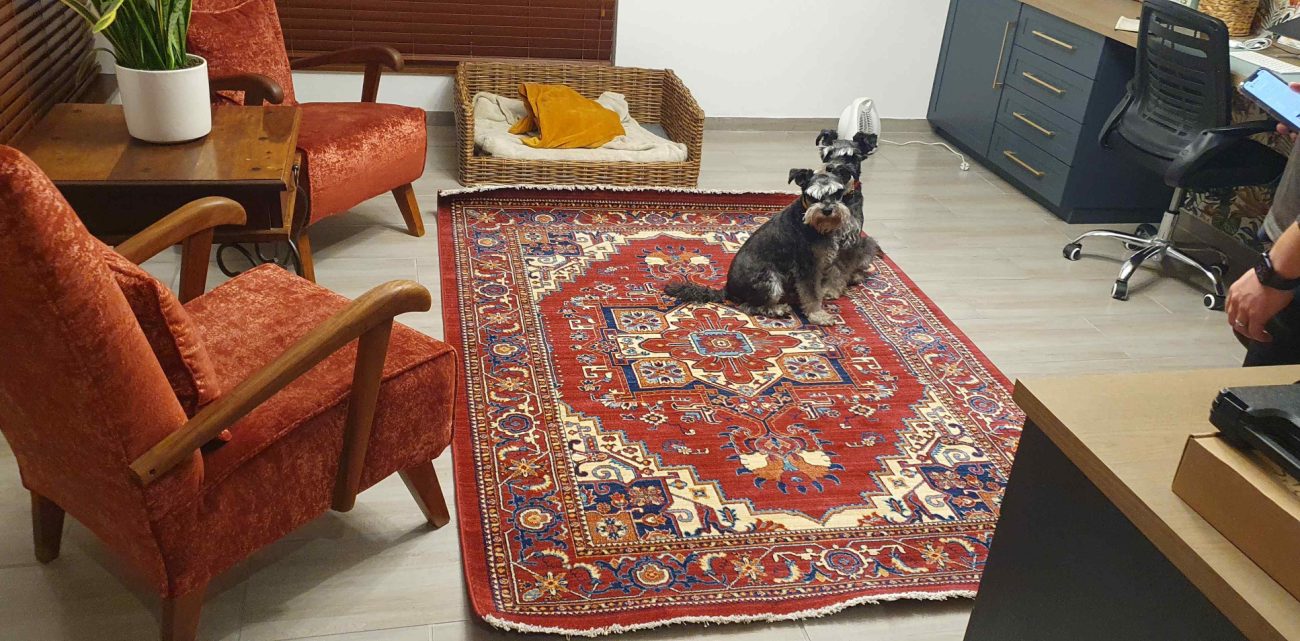 red heriz rug
