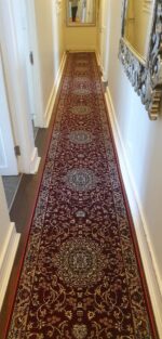 Persian red runner