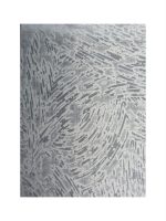 Grey rugs Randburg - BK carpets and Rugs