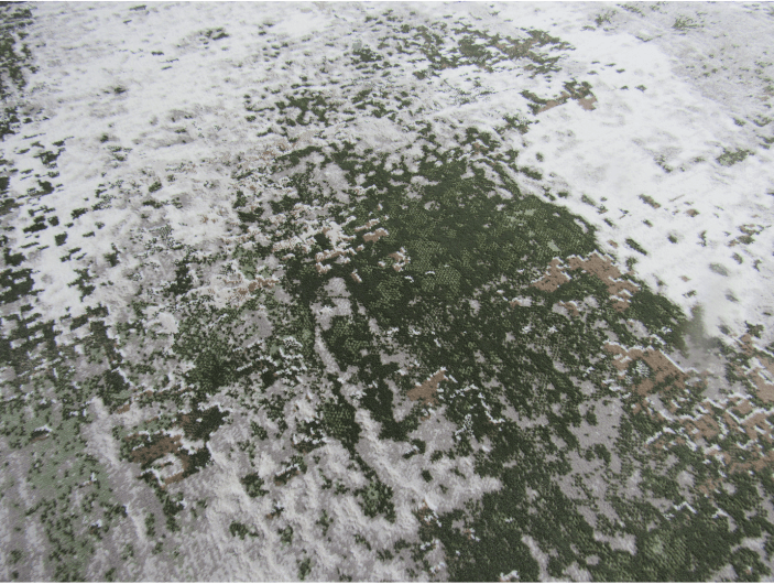 Green Rug for Sale Green Rug