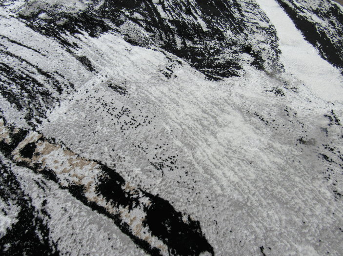 Round Rug - Black White Modern Interior Rugs