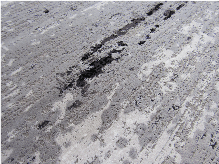 Greek Emblem Rug Grey Large rug