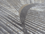 Dark Brown Grey Large Rug