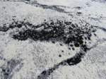 Black White Modern Premium Rug