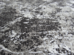 Black Grey Modern rug