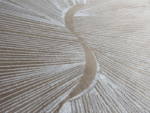 Soft Beige Brown Rug