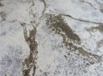 Premium Quality Rugs