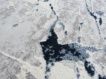 Blue White Luxurious rug