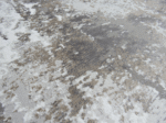Brown sand and grey rug