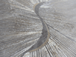 Brown Grey Large Round Rug