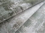 Green Beige Rug