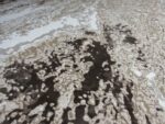 Large Area Rug