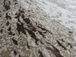 Latte Brown Area Rug
