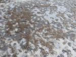 Modern Rustic Rug